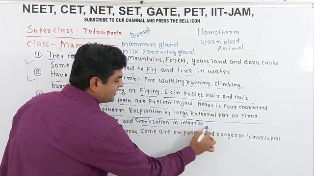 CHAPTER 4 ANIMAL KINGDOM CBSE 11PART 2 NEET BIOLOGY CRASH COURSE TARGET 360 IN BIOLOGY смотреть онлайн
