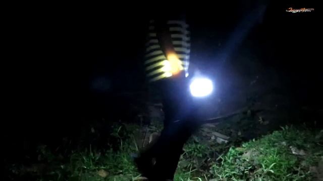 Wild weasel hunting 3 days while camping set a trap in the middle of the forest river смотреть онлайн