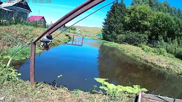 Разведение рыбы в пруду 9 смотреть онлайн