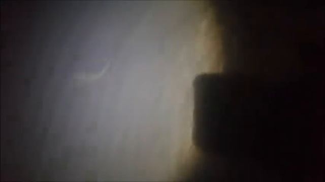 Охота за налимом. Налим на луч!