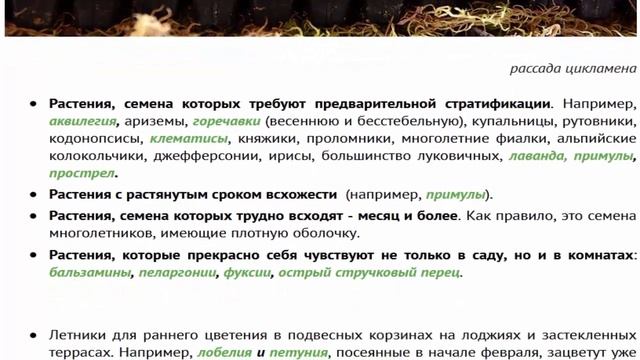 Что посеять в январе и феврале смотреть онлайн