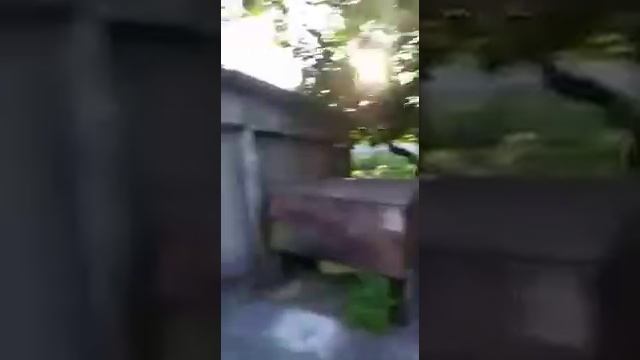 Абхазия н.Эшера Черноморская 23 смотреть онлайн