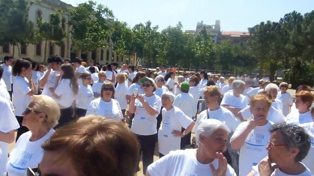 Vídeos de la jornada "Gent Gran en Forma" 6/9 смотреть онлайн