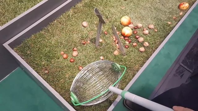 "Суперграбли" для сбора c газона шишек, яблок и т.п. смотреть онлайн