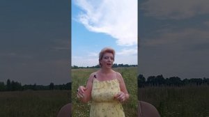 Глухой забор без согласия соседа. Возможно? Ответ здесь!