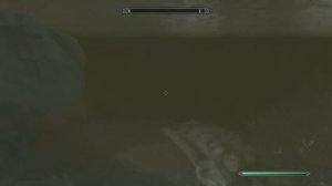 Skyrim золотая рыбка