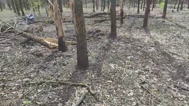 на охоте на охотников тоже охотятся смотреть онлайн