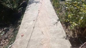 Ставной невод.Маленький,но настоящий.