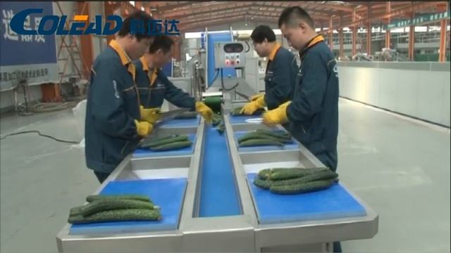 Рабочие столы на несколько человек с отводящим транпортером смотреть онлайн