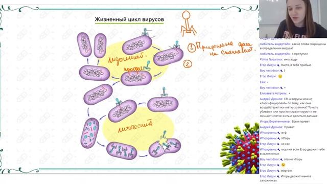 Биология. ЕГЭ 2021. Вирусы смотреть онлайн