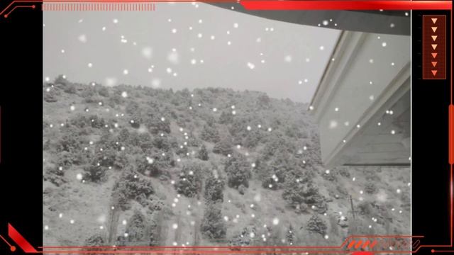 JIZZAX VA QASHQA DARYODA QOR YOG'DI. смотреть онлайн