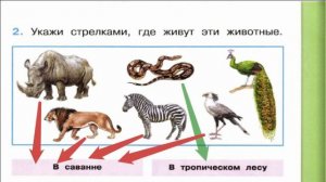 Окружающий мир. Рабочая тетрадь 1 класс 2 часть. ГДЗ стр. 11 №2