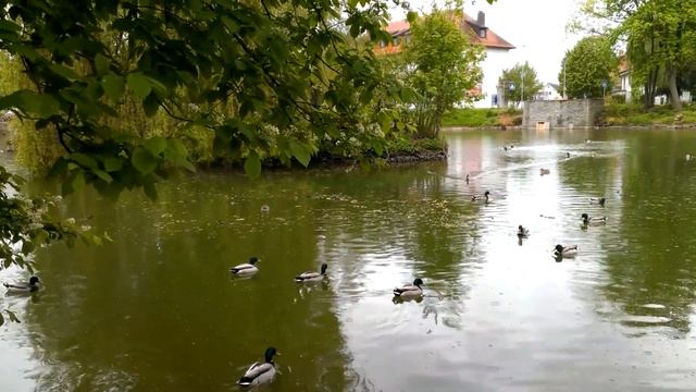 Pfullendorf, Zentrum. смотреть онлайн