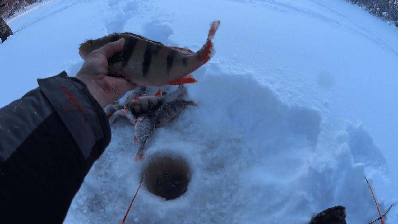Я все утро поглядывал на это место,решил пробурить и сразу началась раздача. рыбалка 2021. смотреть онлайн