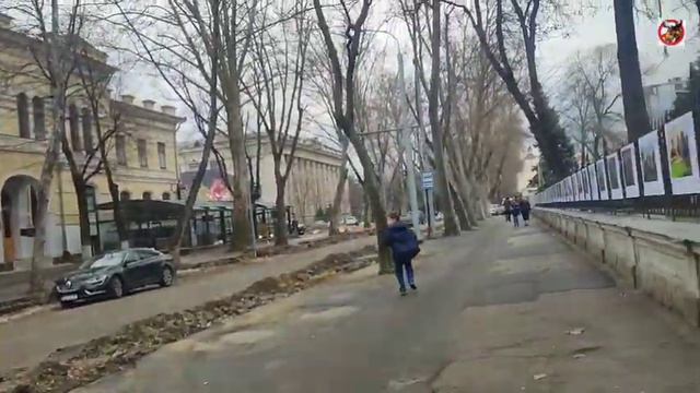 Кишинев ул 31 Августа 18.02.24 смотреть онлайн