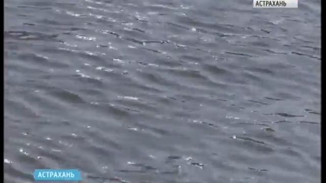 Боевому катеру Каспийской флотилии торжественно присвоили новое имя - "Юнармеец Каспия" смотреть онлайн