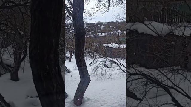 31 марта 2023. Что дальше происходило с погодой после обеда... смотреть онлайн