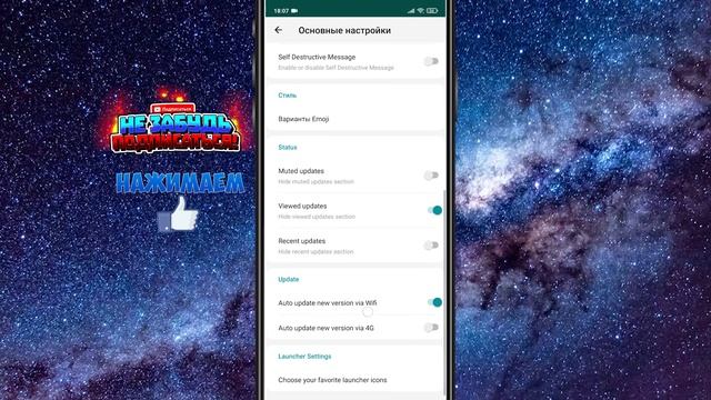 Настройка Whatsapp Plus. Включение всех функций ватсап плюс 2021