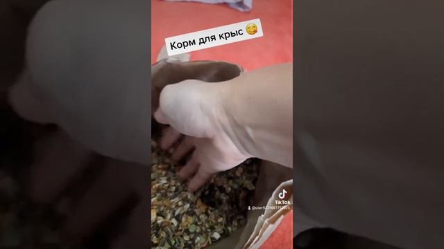 Корм для крыс 😋 смотреть онлайн