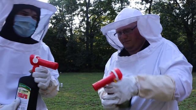 DESTROYING A QUEEN BEE'S HIVE! смотреть онлайн
