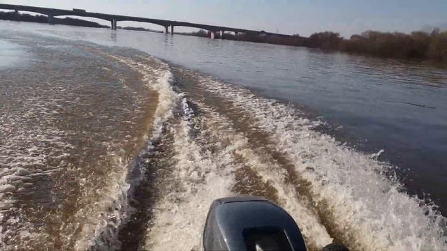 Солар 330 Ямаха 9.9/15 река Ока 11 апреля 2021 смотреть онлайн