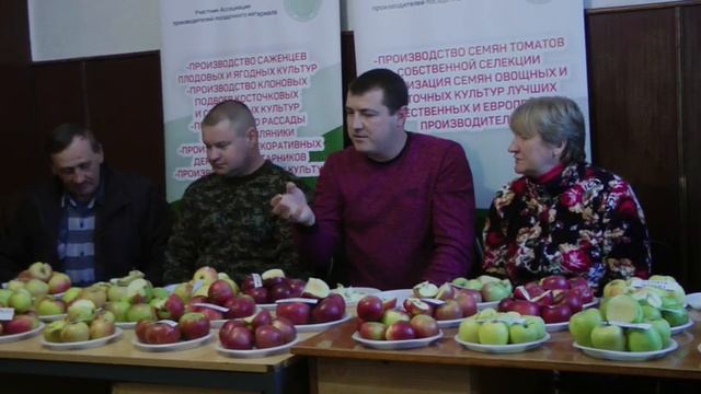 Сортария 19 Дегустация яблок позднезимних сортов