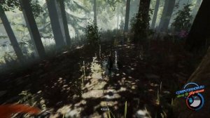 Как сделать стрелы в the forest