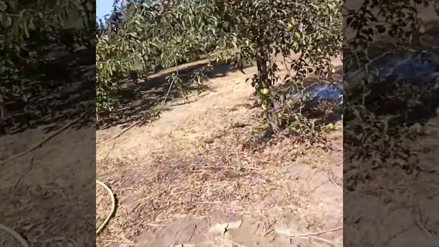 Бурение скважины ставропольский край пелагиада смотреть онлайн