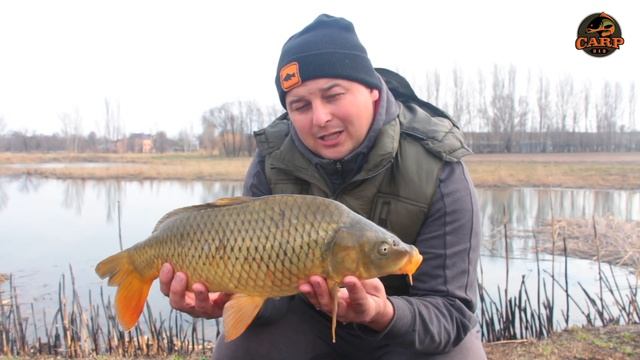 ЛОВЛЯ КАРПА В МАРТЕ НА БОЙЛЫ / ЛОВЛЯ НА ПВА СТИКИ / MARCH CARP SESSION / PVA STICK FISHING смотреть онлайн