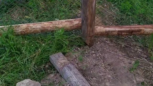 Загон для уток и гусей смотреть онлайн