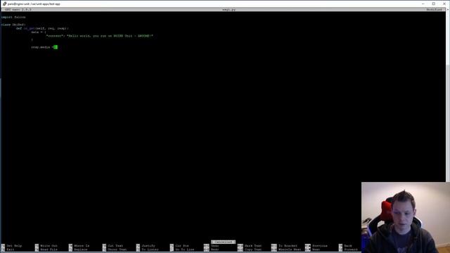 Python Falcon Part 9 - How to use Falcon on NGINX Unit смотреть онлайн