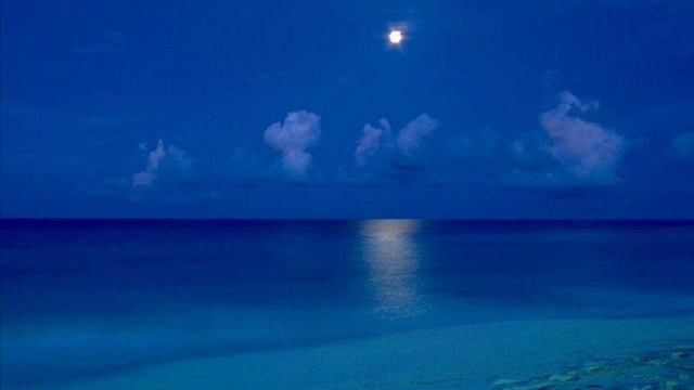 In this Heart... смотреть онлайн