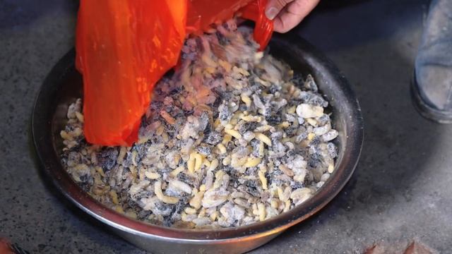 妹妹上班放年假回家，冬宝炸一盆蜂蛹，妈妈用新鲜辣椒炒，太香了 смотреть онлайн