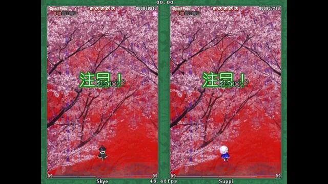 [Dissidia Forums PoFV Tournament Preliminaries] Skye (Marisa) Vs Suppi (Yuuka)  Match 2