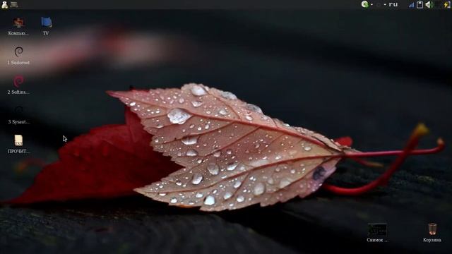 Debian ч45. Cборка Debian10.7Dark-i386-xfce-nonfree. смотреть онлайн