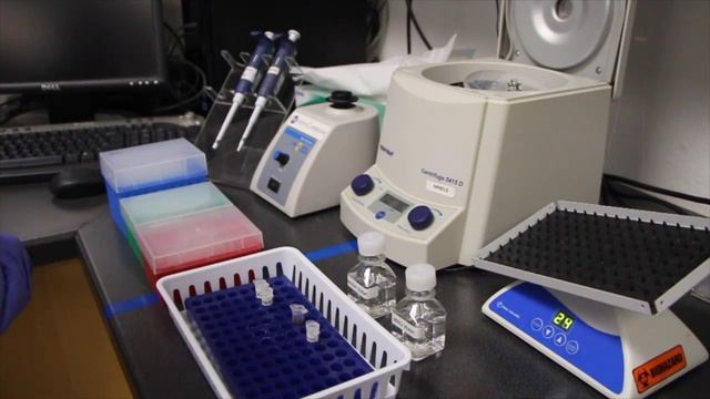 Tutorial | Covalent Conjugation Of Antibodies To Gold Nanoparticles