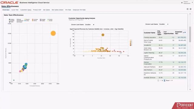 Sell More: Drive Revenue Growth with Analytics, Oracle BI [Demo] смотреть онлайн