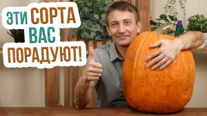 Выбираем лучшие сорта тыквы. Вам понравятся эти тыквы - самые сладкие сорта!