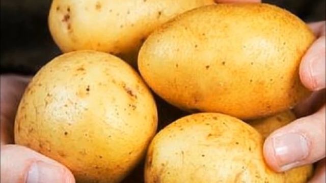 Картофель Адретта - эталон вкуса с 1975 г.! Раннеспелый, урожайный, устойчивый к болезням. смотреть онлайн