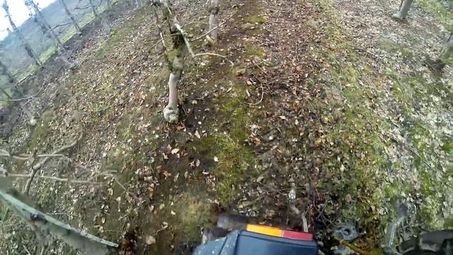 Wygarniacz gałęzi. смотреть онлайн