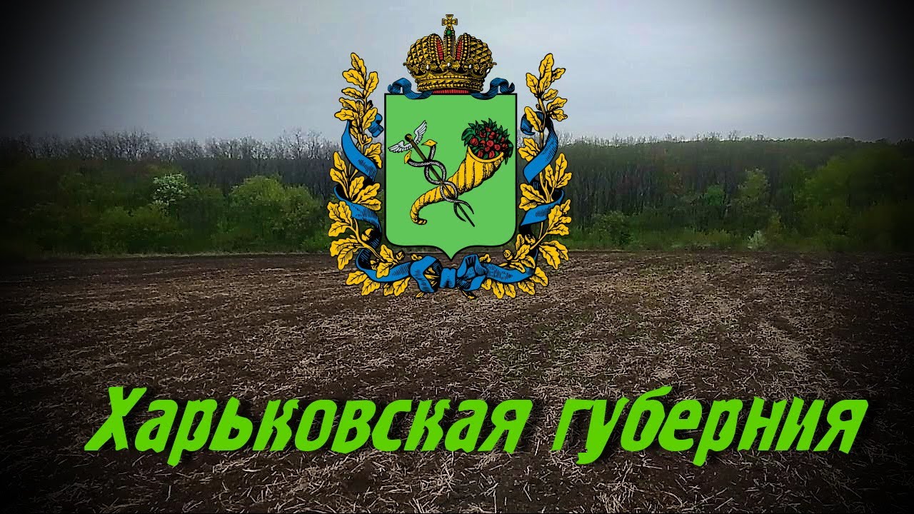 Гербовая пуговица чиновника Харьковская губерния. Юнкинъ. 2 сортъ. ACE250(MD6250) + Mars Tiger.