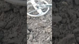 Коп с АКА интроник.