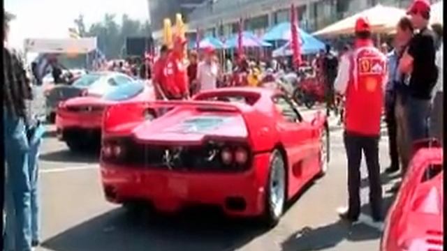 FERRARI Y PUMA EN EL AUTODROMO HNOS RDZ MEXICO 2008 смотреть онлайн
