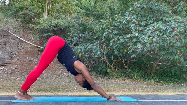 30 Minute Morning Vinyasa Yoga Flow | Surya Namaskar | Sun Salutations Yoga смотреть онлайн