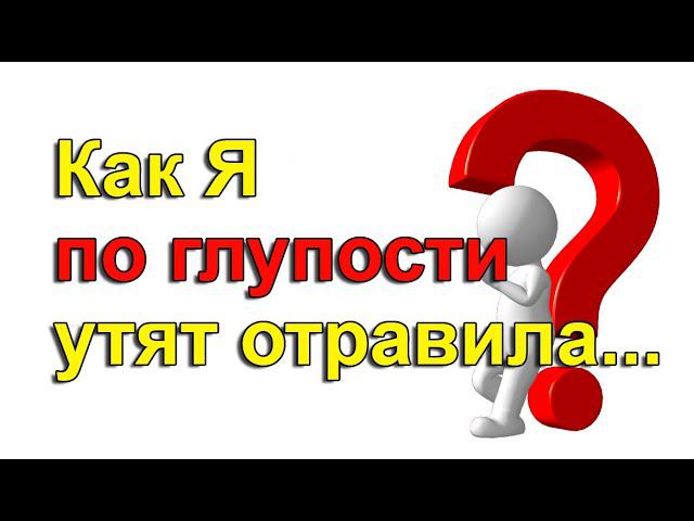 НЕ СОВЕРШАЙТЕ МОИХ ОШИБОК! Ответы на ваши вопросы. смотреть онлайн