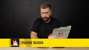 Обзор корма для кошек Брит