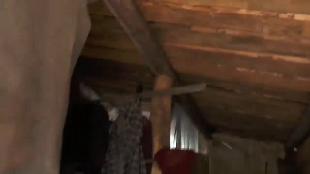 Русская деревня - Потеряевские сюжеты. Август 2014 смотреть онлайн