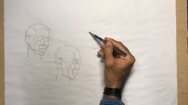 How to Draw Head from any angle using Reilly Method - 1 смотреть онлайн