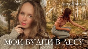 VLOG: Пикник в Осеннем Лесу, домашний вечер, дача #тихийвлог