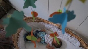 Жесть! Что будет если не перерезать пуповину ребенку после рождения больше суток. Реальное видео